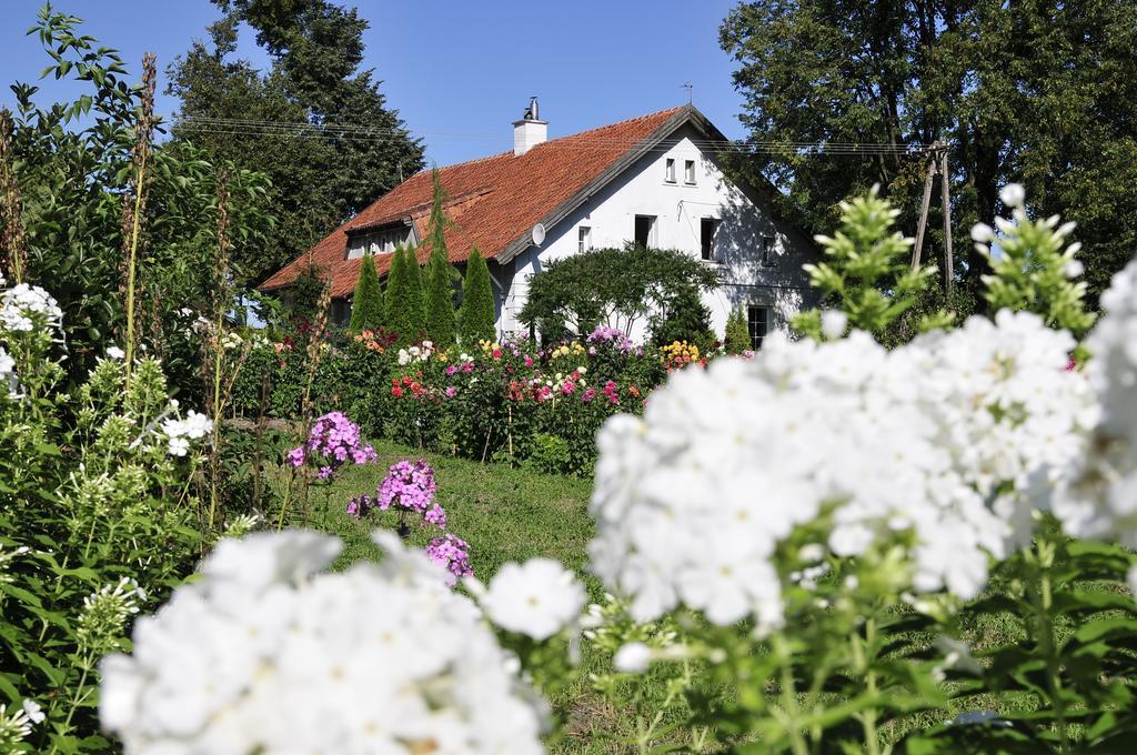 agroturystyka Orzechowe Wzgórze Orzechowo  Exterior foto